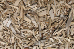 biomass boilers Lugate